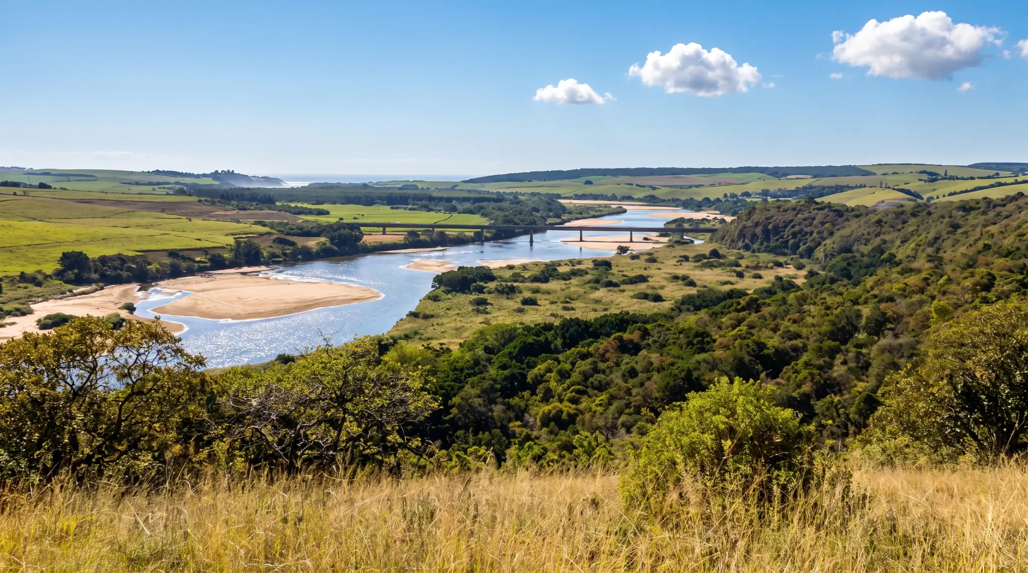 A sunny day at Harold Johnson Nature Reserve.