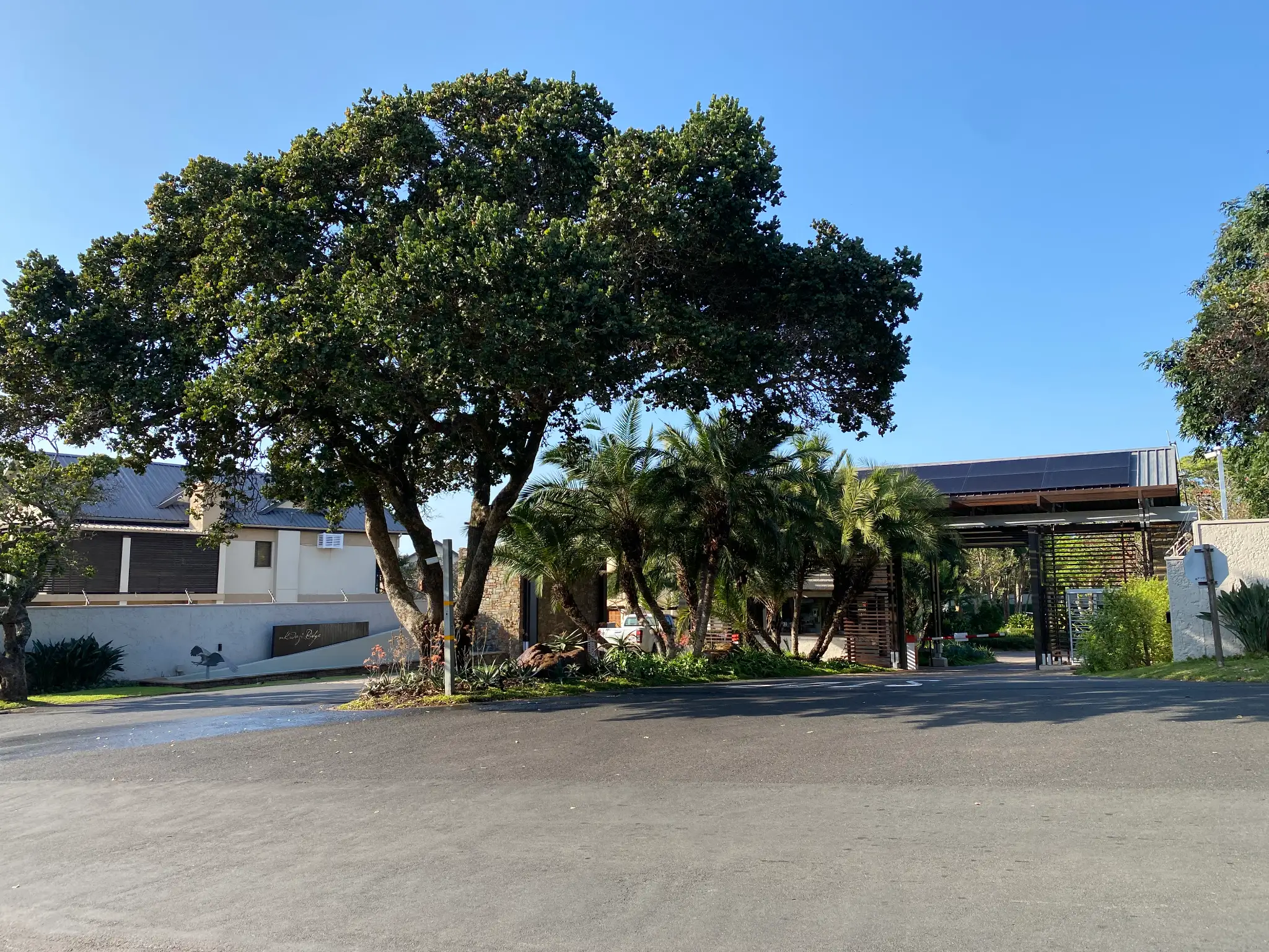 Gated entrance to Nkwazi Ridge Estate with a large leafy tree and palm trees under a blue sky in Zinkwazi.