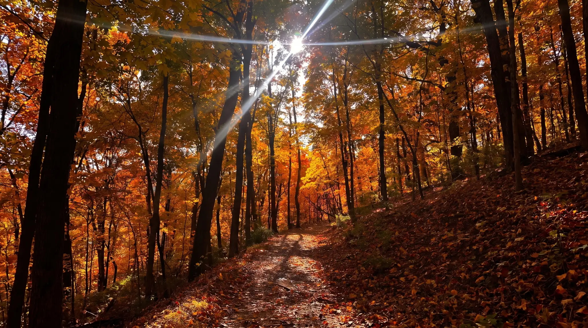 When Is the Best Time to Visit Grafton?