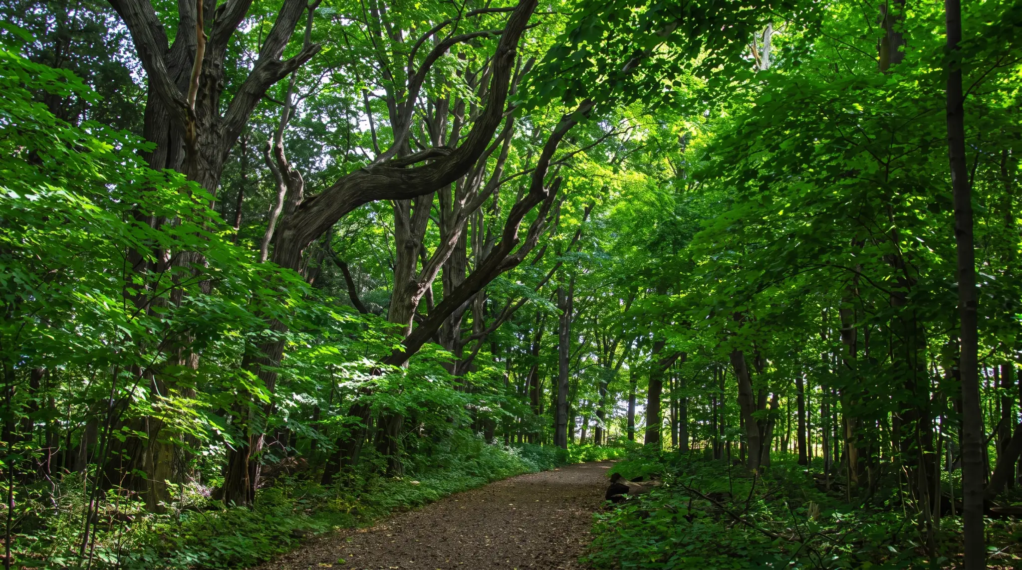 Things to Do in Mequon: A Local's Guide for 2026