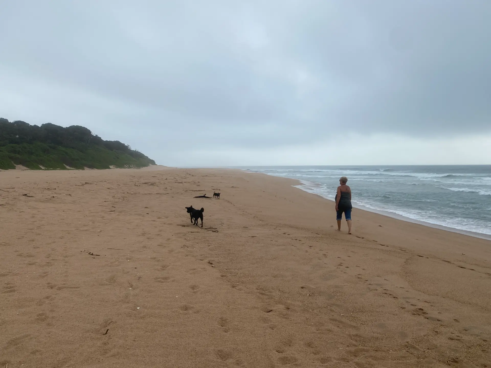 Pet-Friendly Accommodation in Zinkwazi Beach