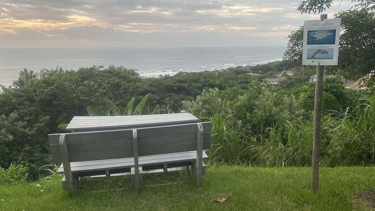 A picnic table and sign overlook the sub-tropical forest and ocean at Zinkwazi.