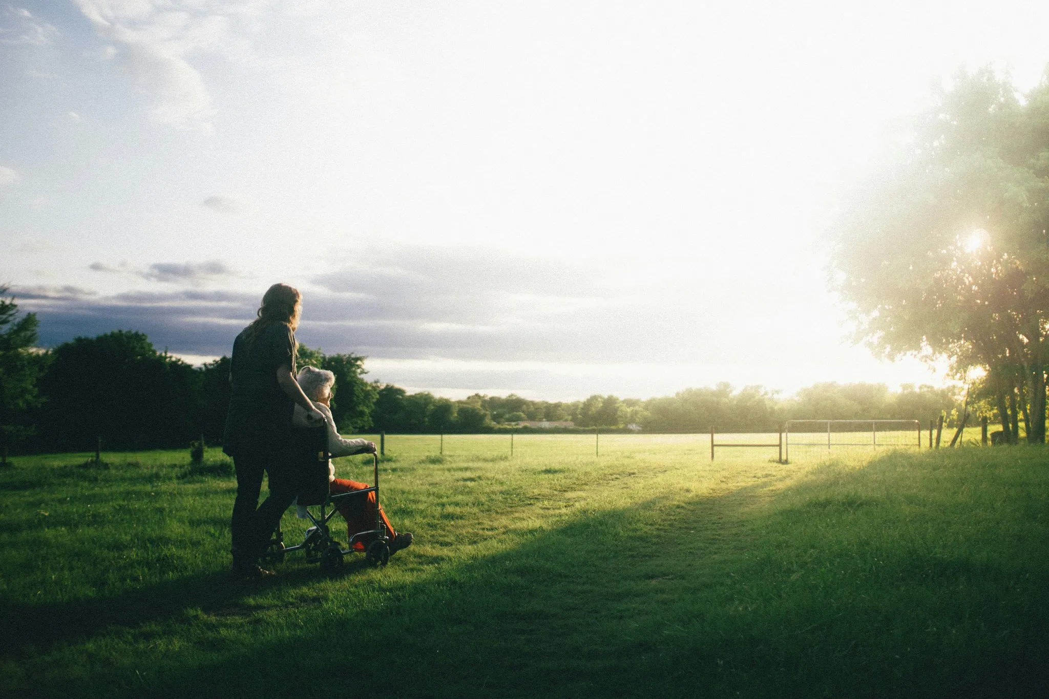 A person pushes someone in a wheelchair across a sunny field.