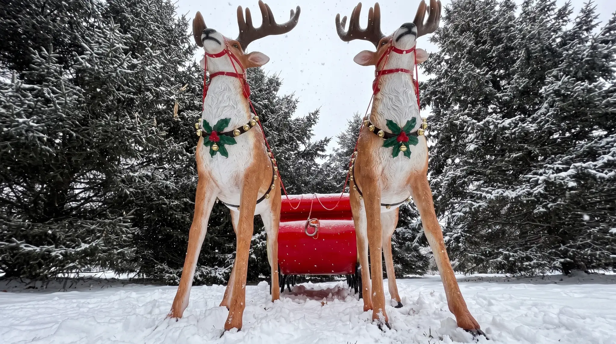 Best Time to Visit Slinger: Race in Summer, Ski in Winter