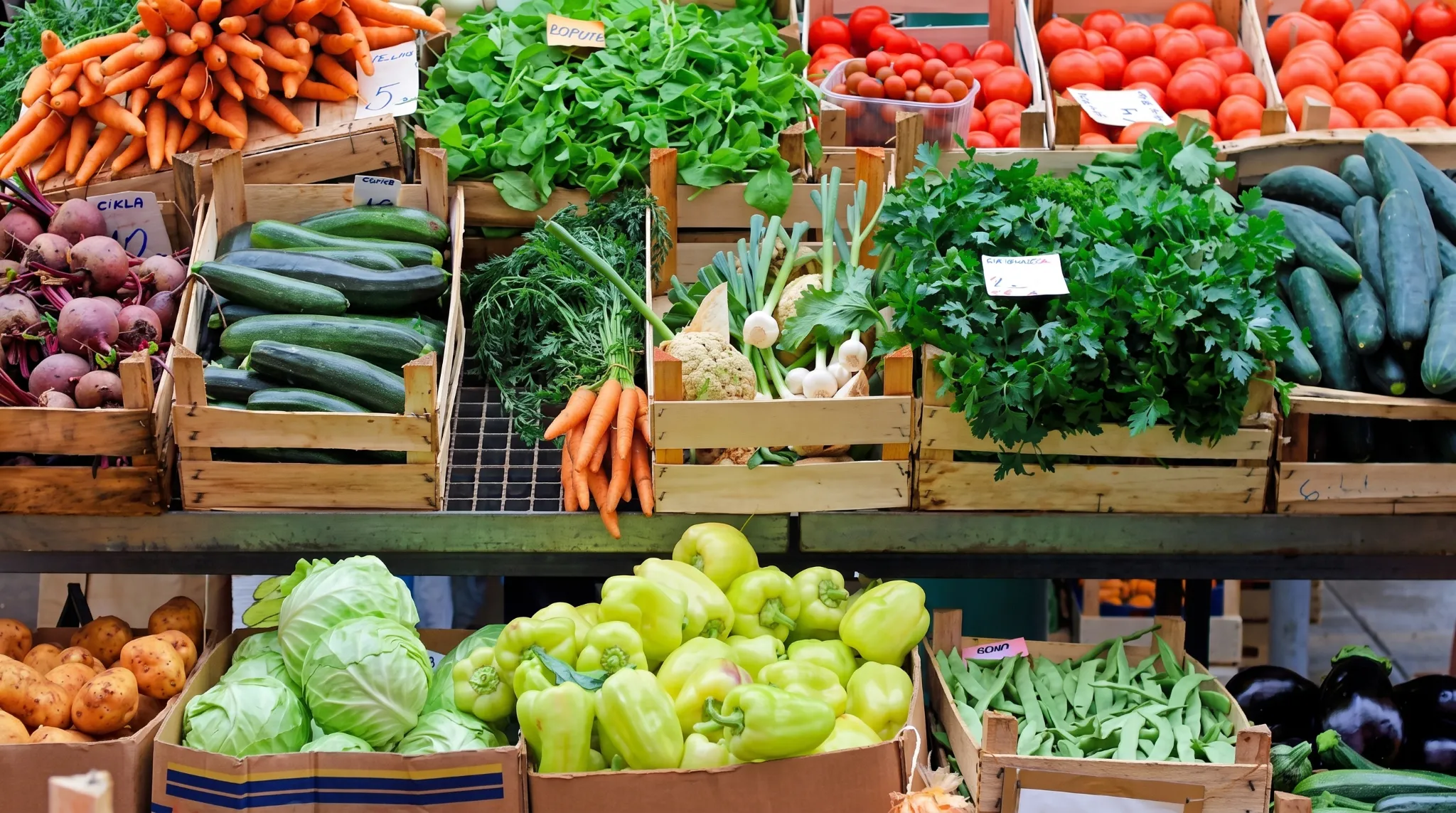 Cedarburg Farmers Market 2026: Days, Dates & Location