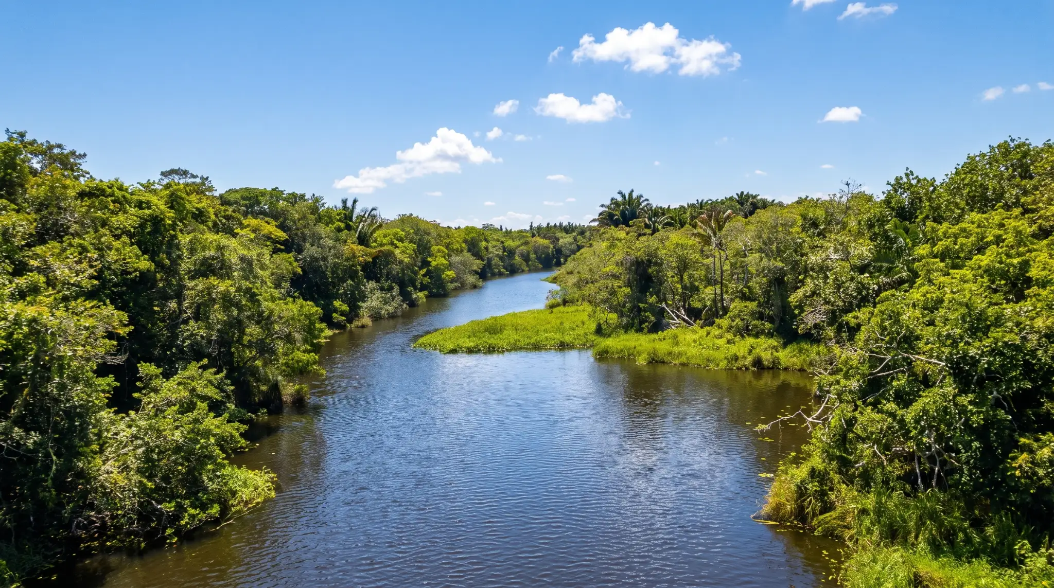 iSimangaliso Wetland Park on a summer's day.