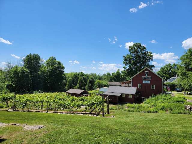 Wineries & Breweries
