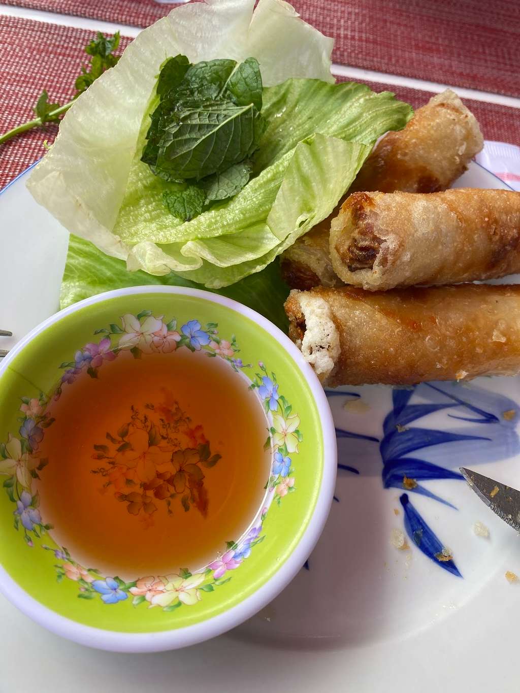 Délices du Vietnam