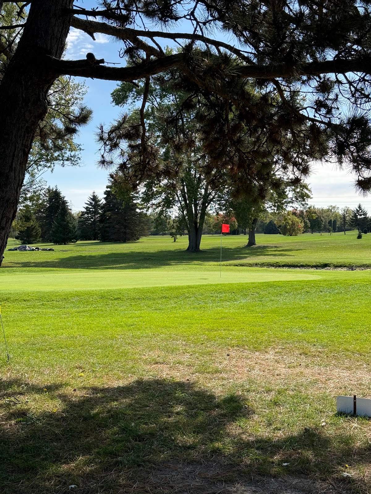 Woodland Golf