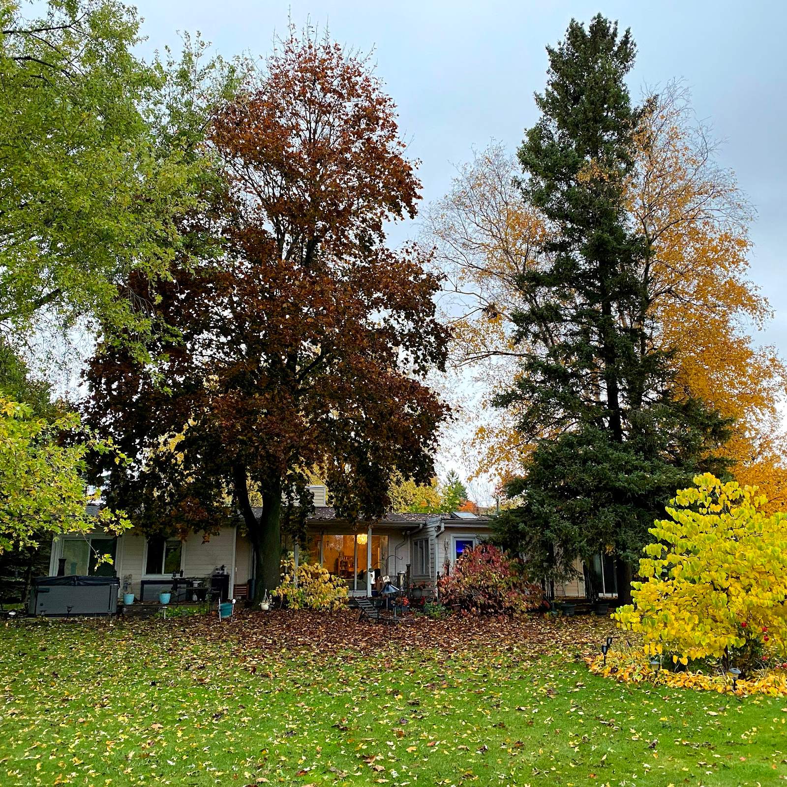 A Retreat to Vitality