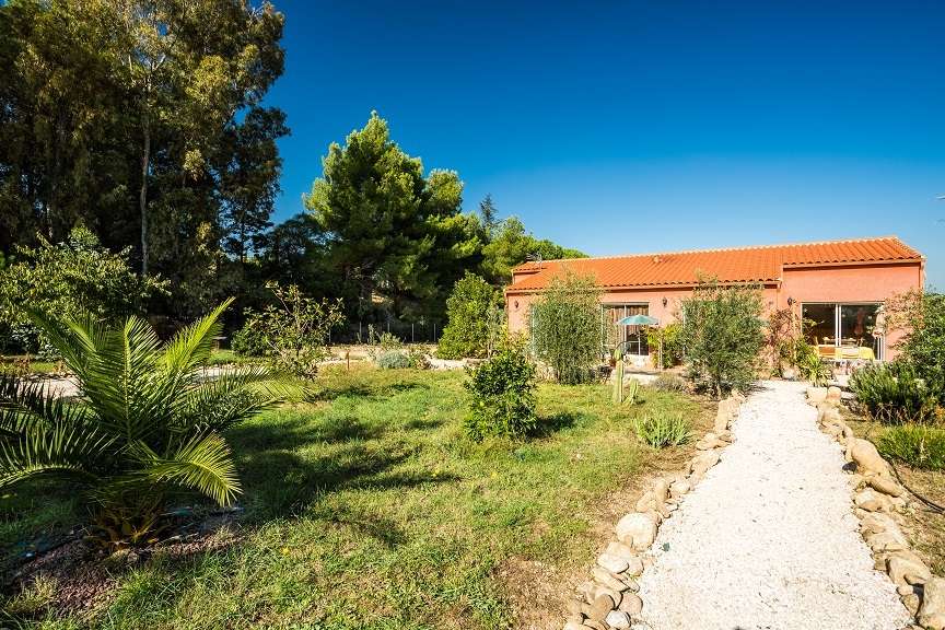 Chambres d'hôtes L'Olivette des Albères (à proximité de Collioure)