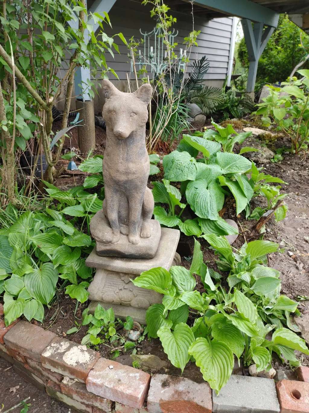 The Country Pup Woodbury CT