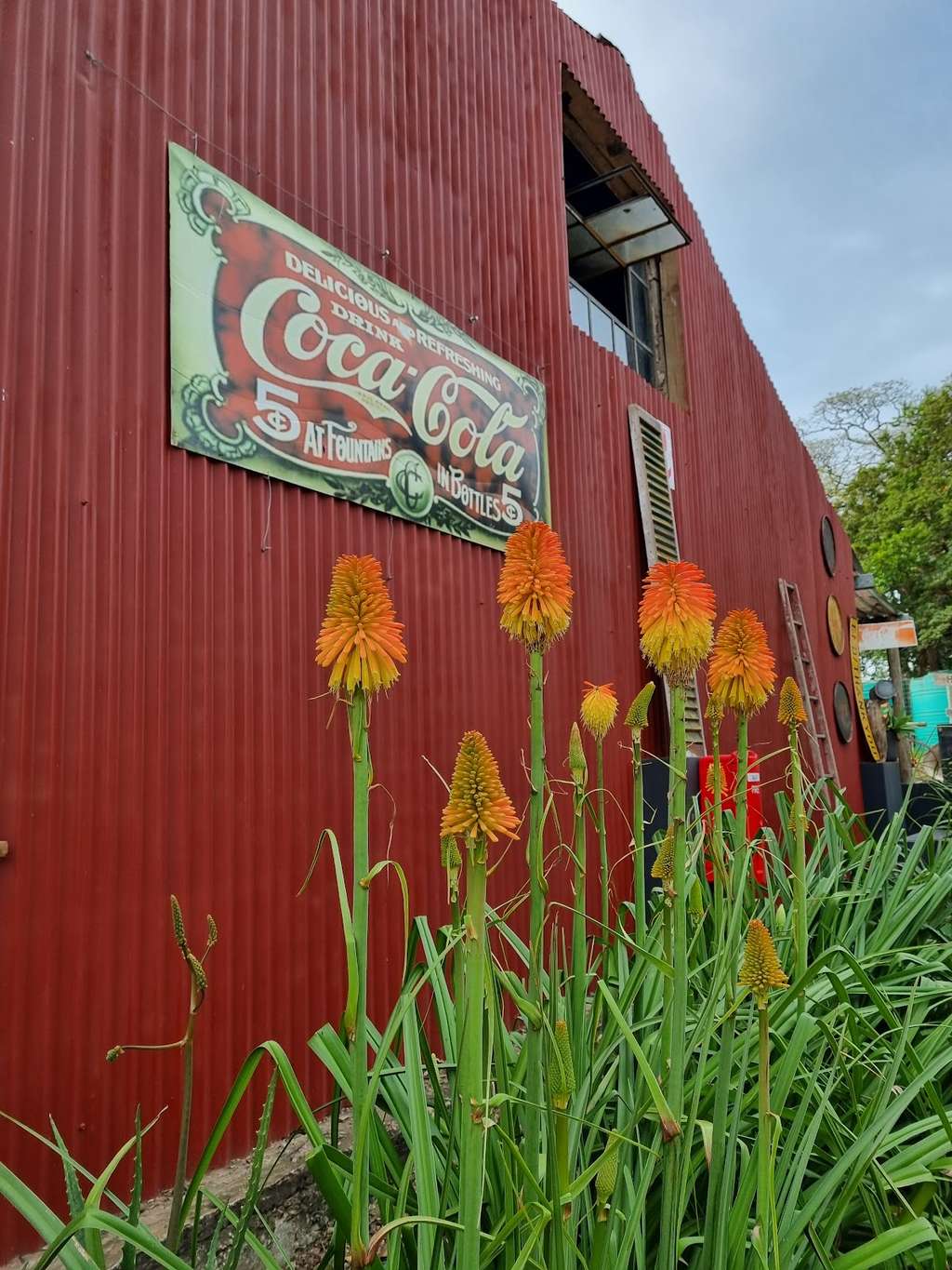 THE VINTAGE BARN BALLITO