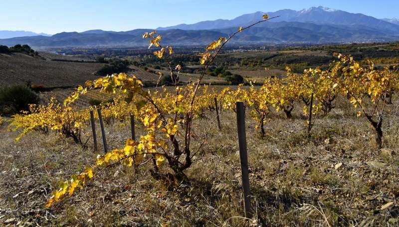 Wineries & Breweries