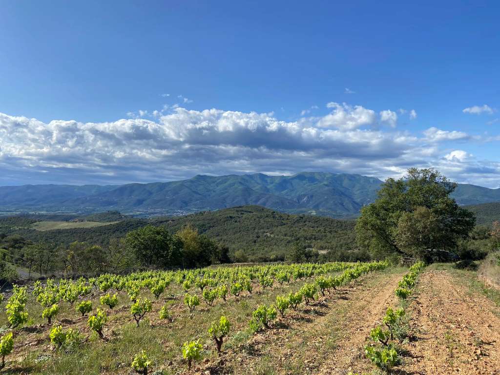 Wineries & Breweries
