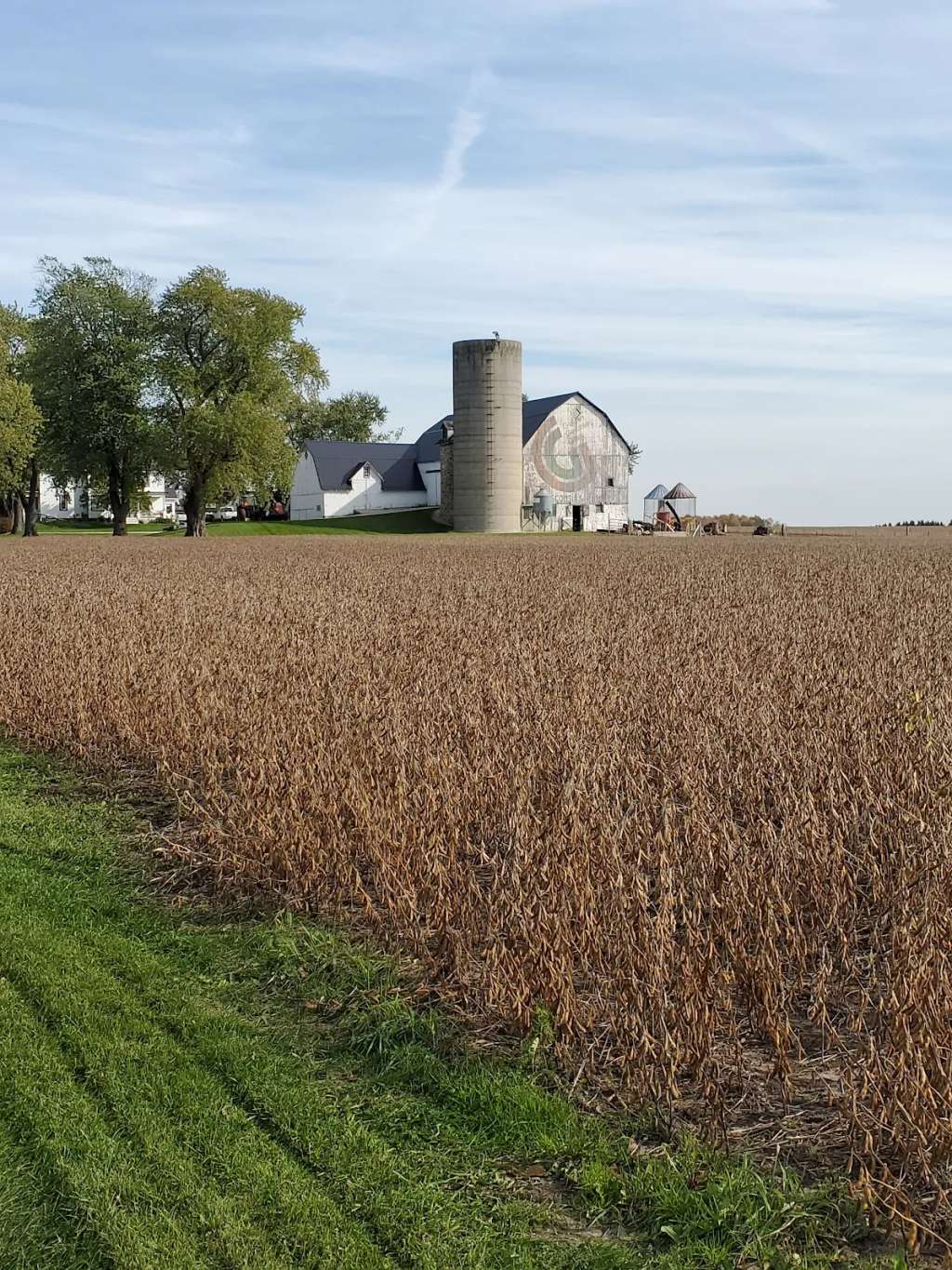 Silver Maple Farm LLC