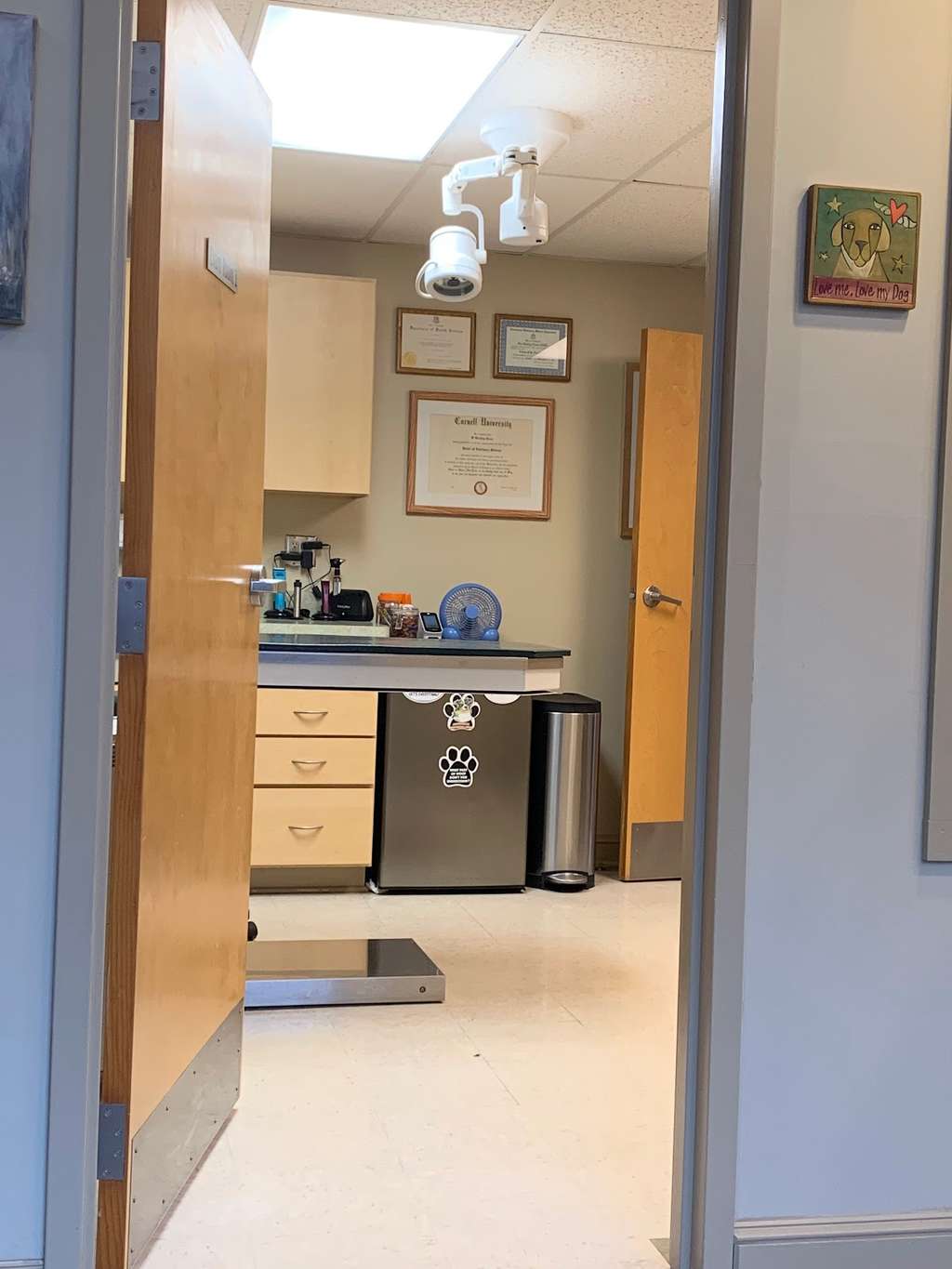 Davis Companion Animal Hospital