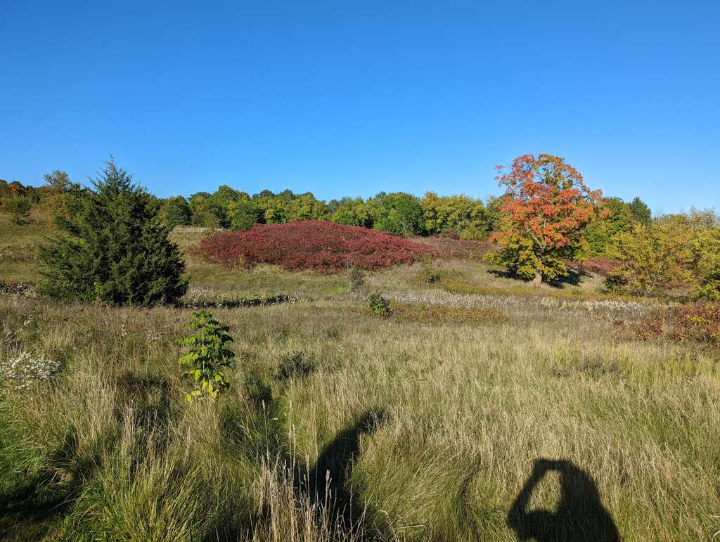 Big Cedar Lake Hiking Trails