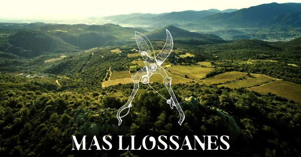 Vignoble du Mas Llossanes
