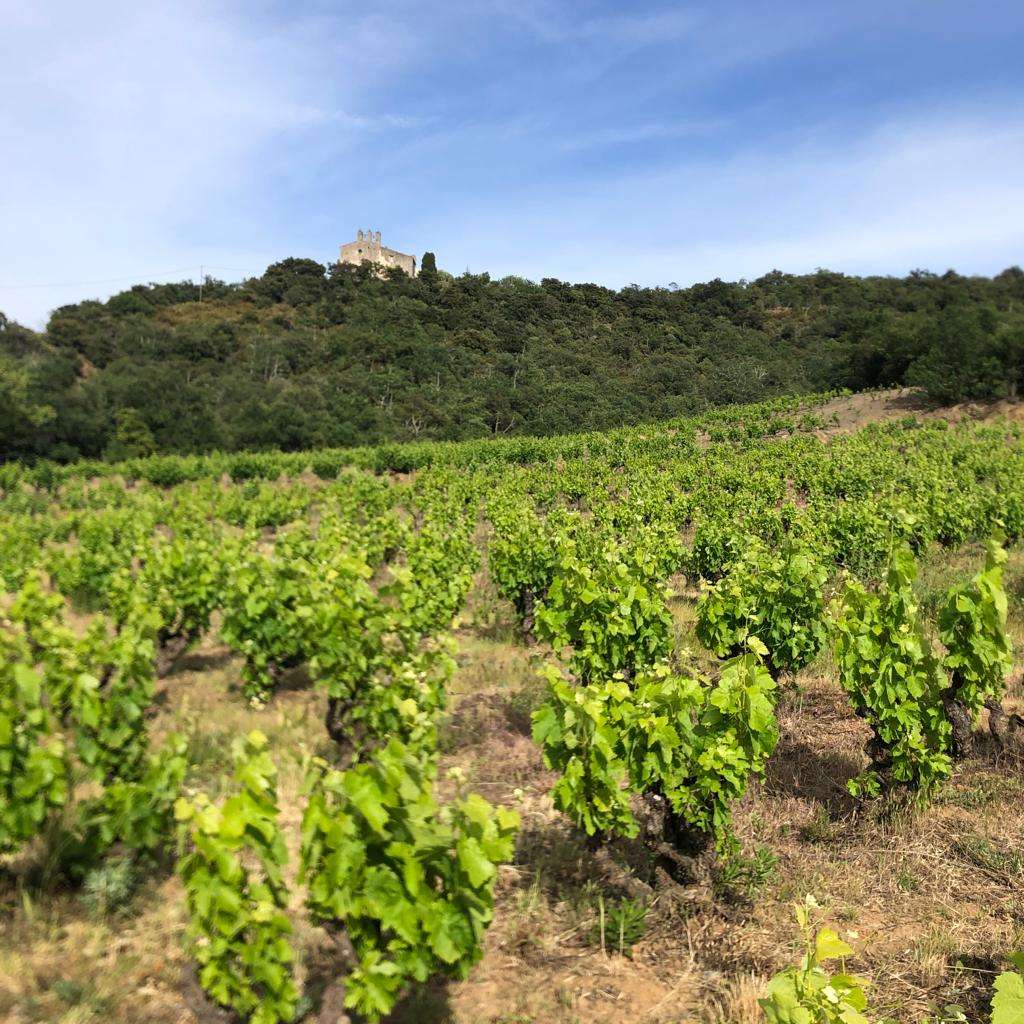 Domaine Domanova