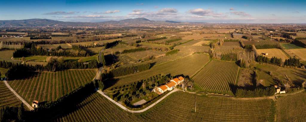 Domaine Les Boneres