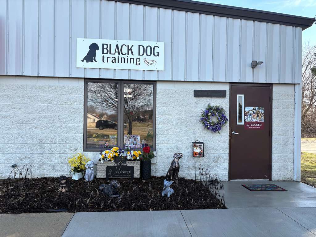 Black Dog Training LLC