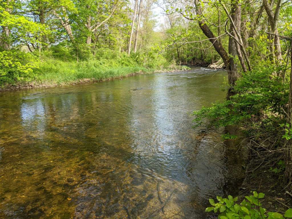 Three Rivers Field