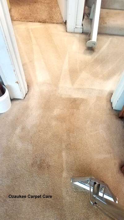 Ozaukee Carpet Care