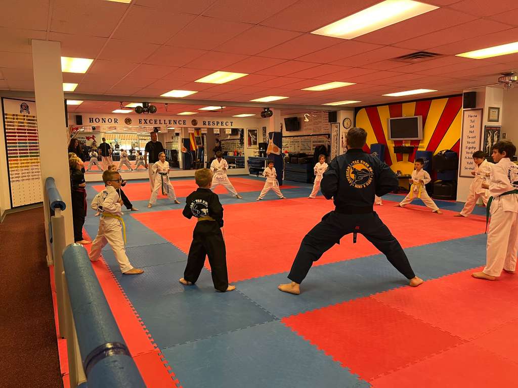 American Taekwondo Center