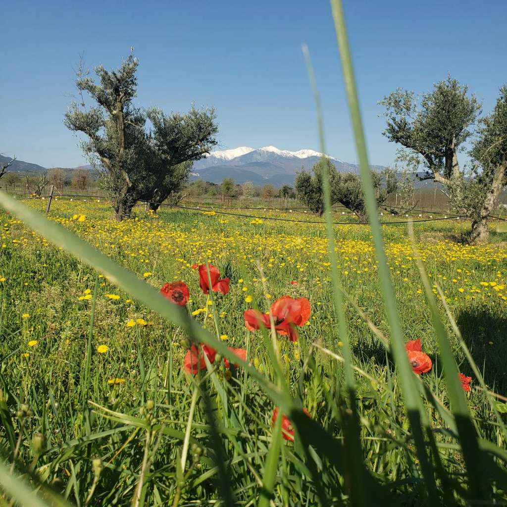 Domaine des 3A / Boutique