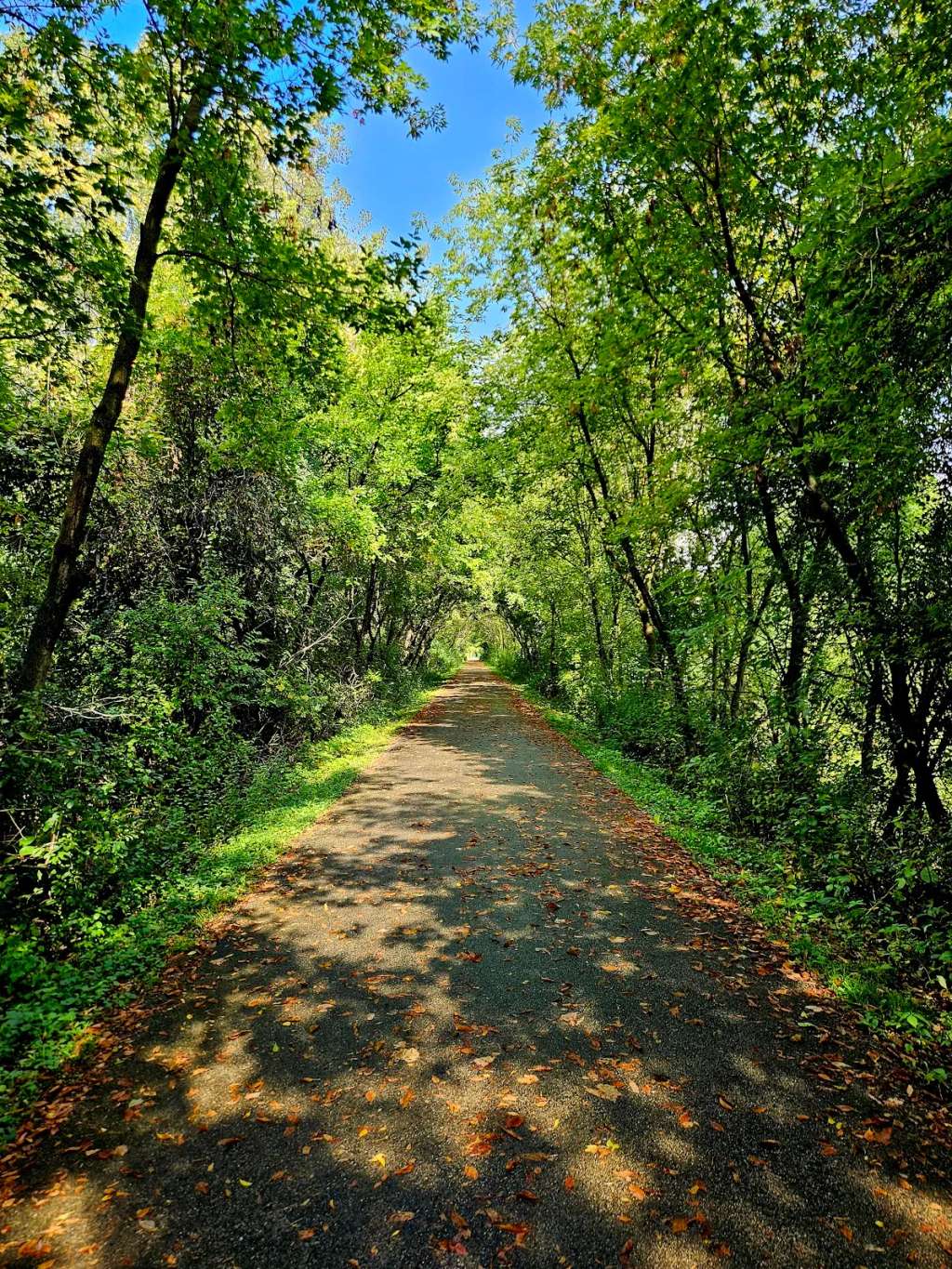 Eisenbahn trail