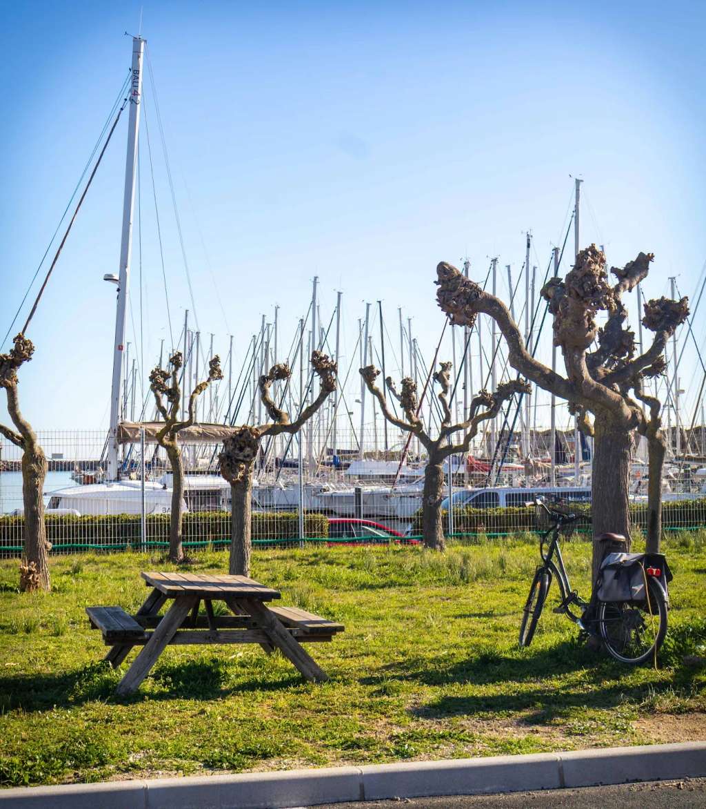 Aire de camping-cars de Saint-Cyprien