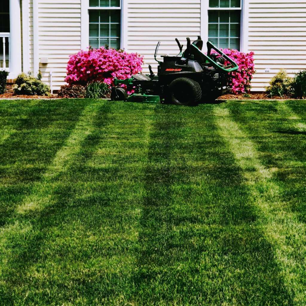 Transylvania Turf