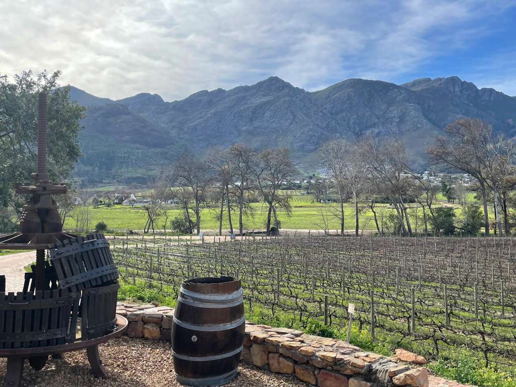 Wine Flies Wine Tours