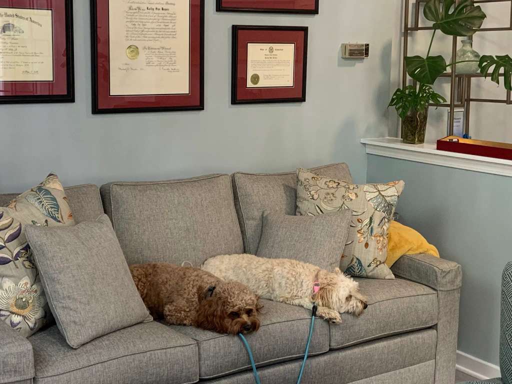 Gager Bower & Scalzo, LLP