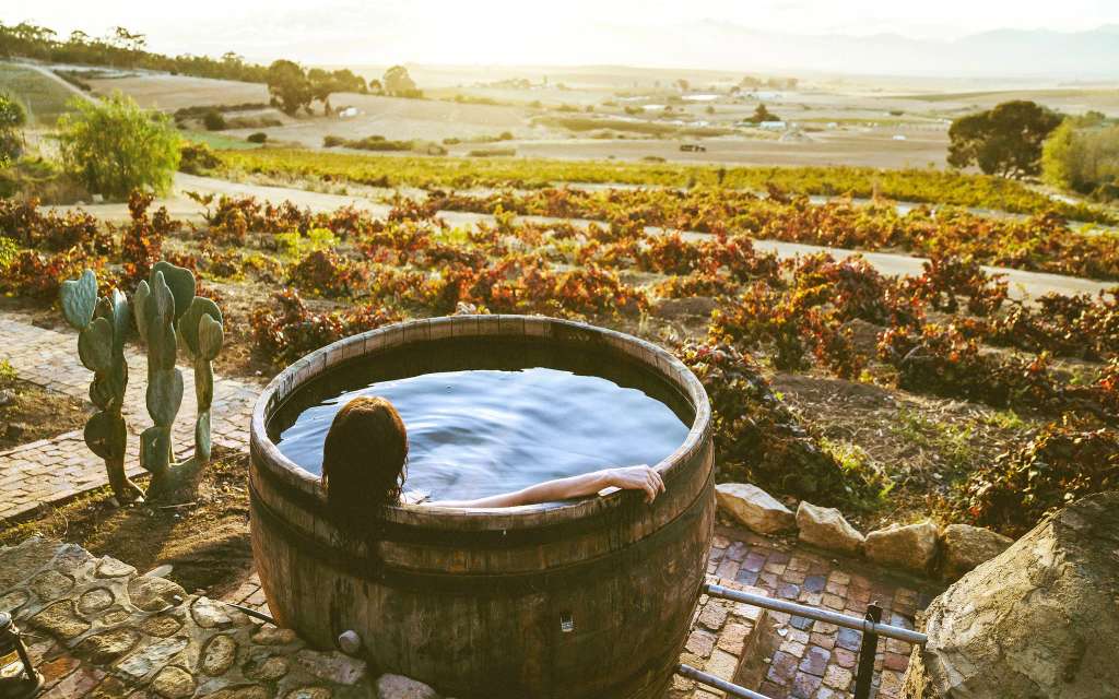 Visit SA Winelands