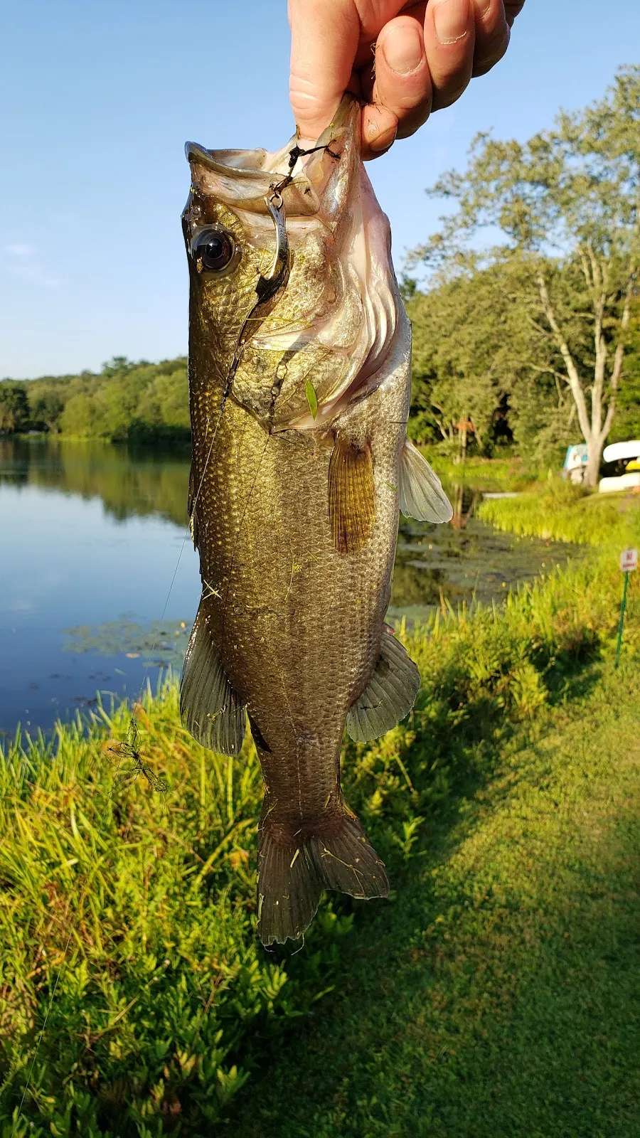 Woodlake