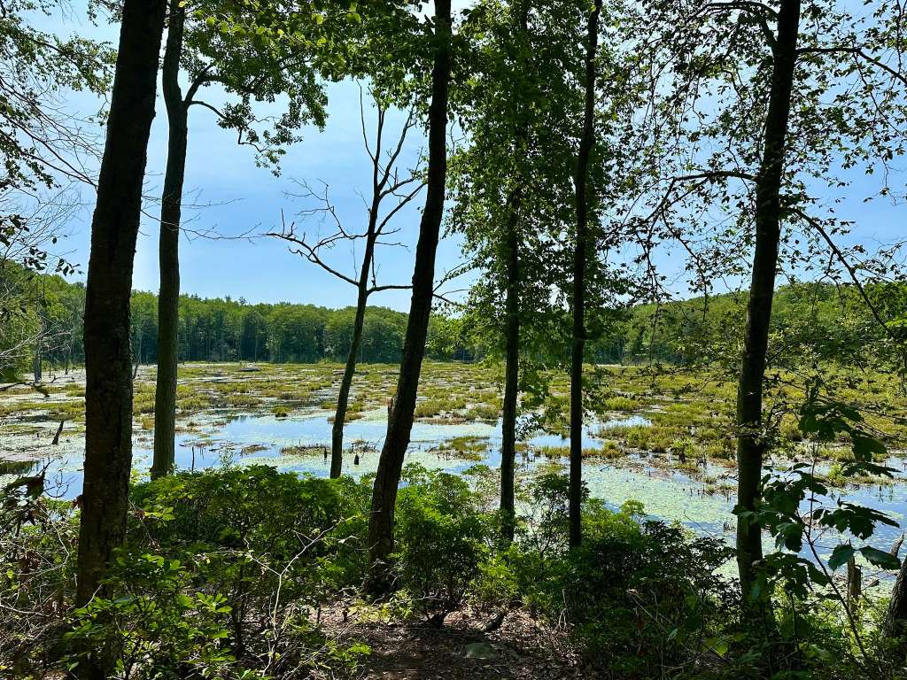 Whittemore Sanctuary