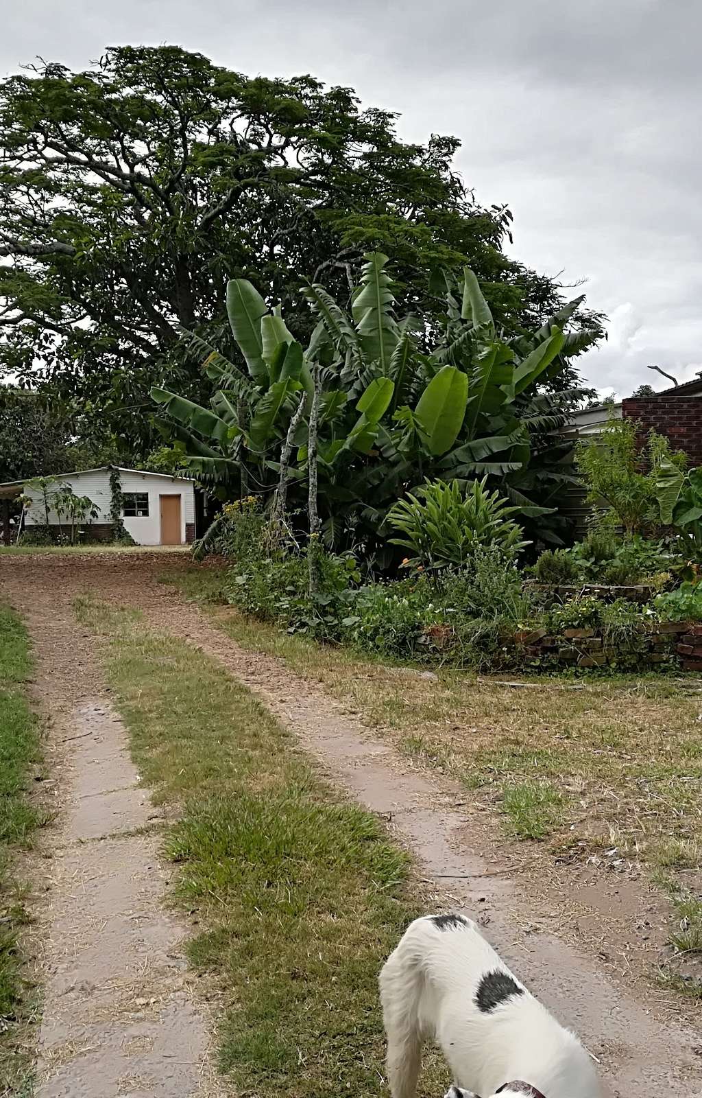 Nkwazi Eco Backpackers