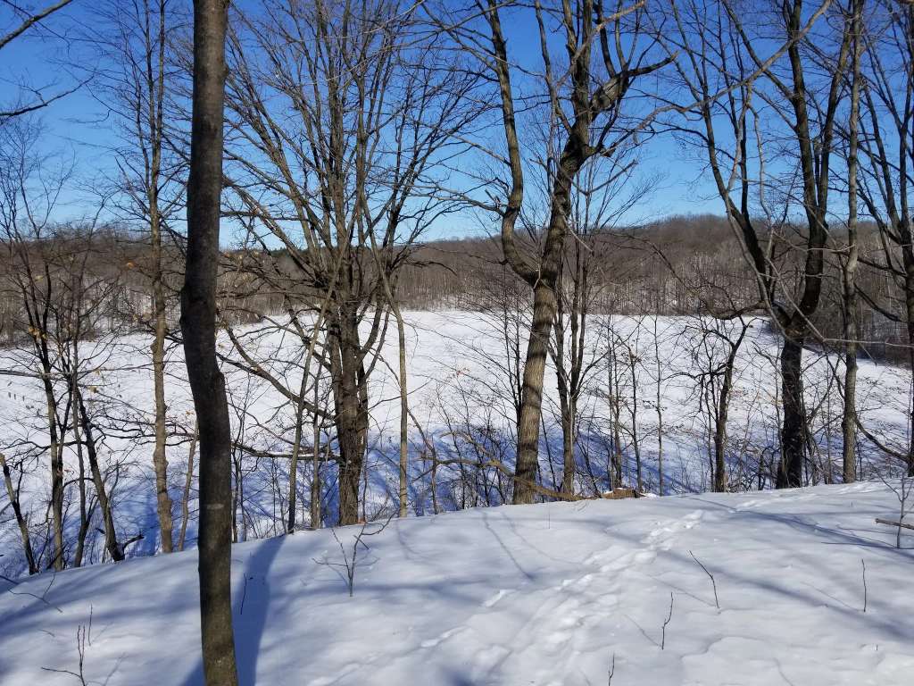 New Fane Trail Area