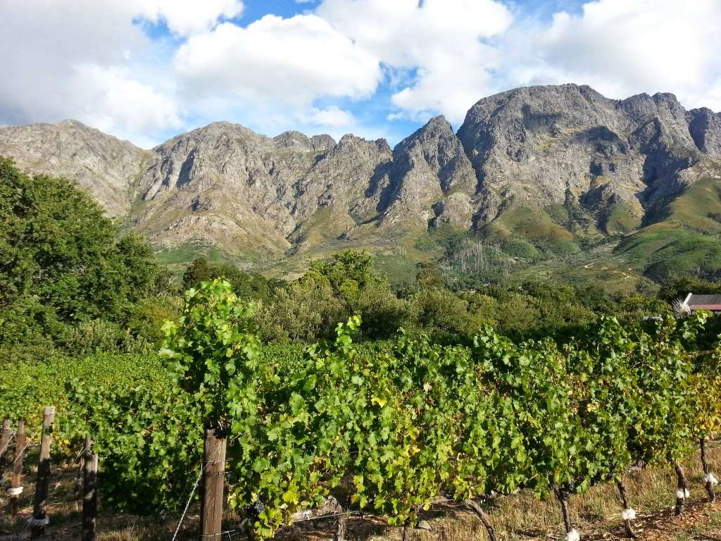 African Story Wine Tours (Tasting only on tours)