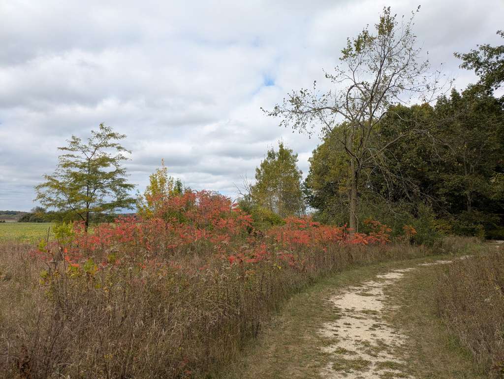 Lizard Mound State Park