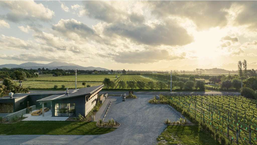 Nga Waka Vineyard