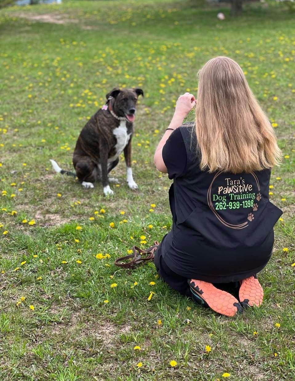Pet Services