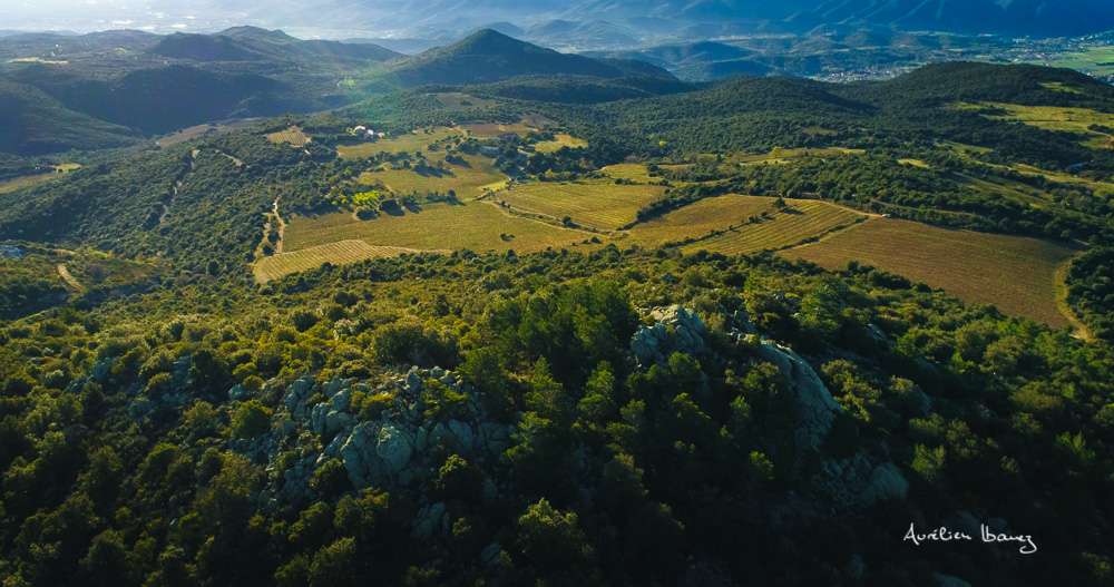 Wineries & Breweries