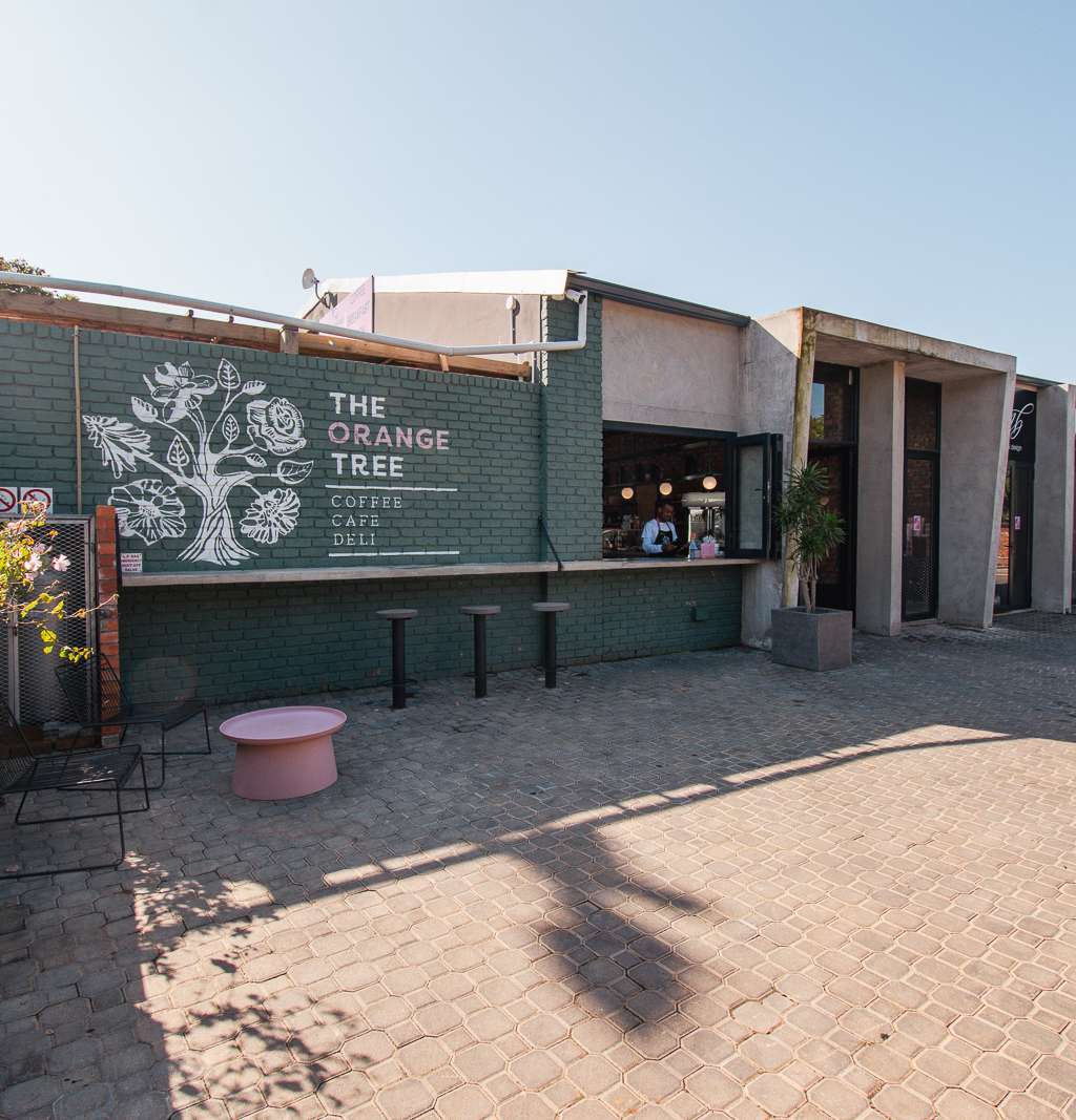 The Orange Tree