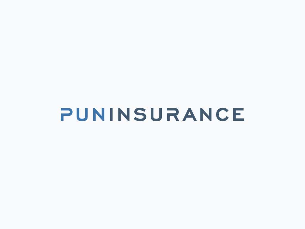 Pun Insurance