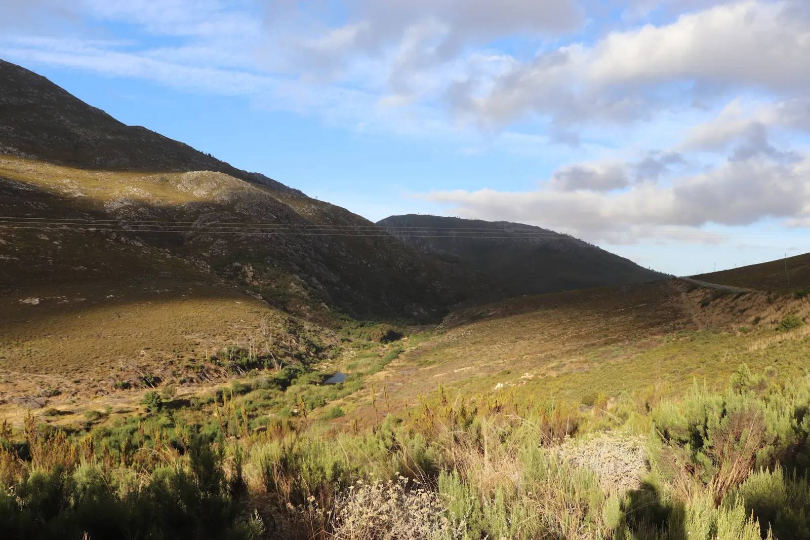 Grabouw