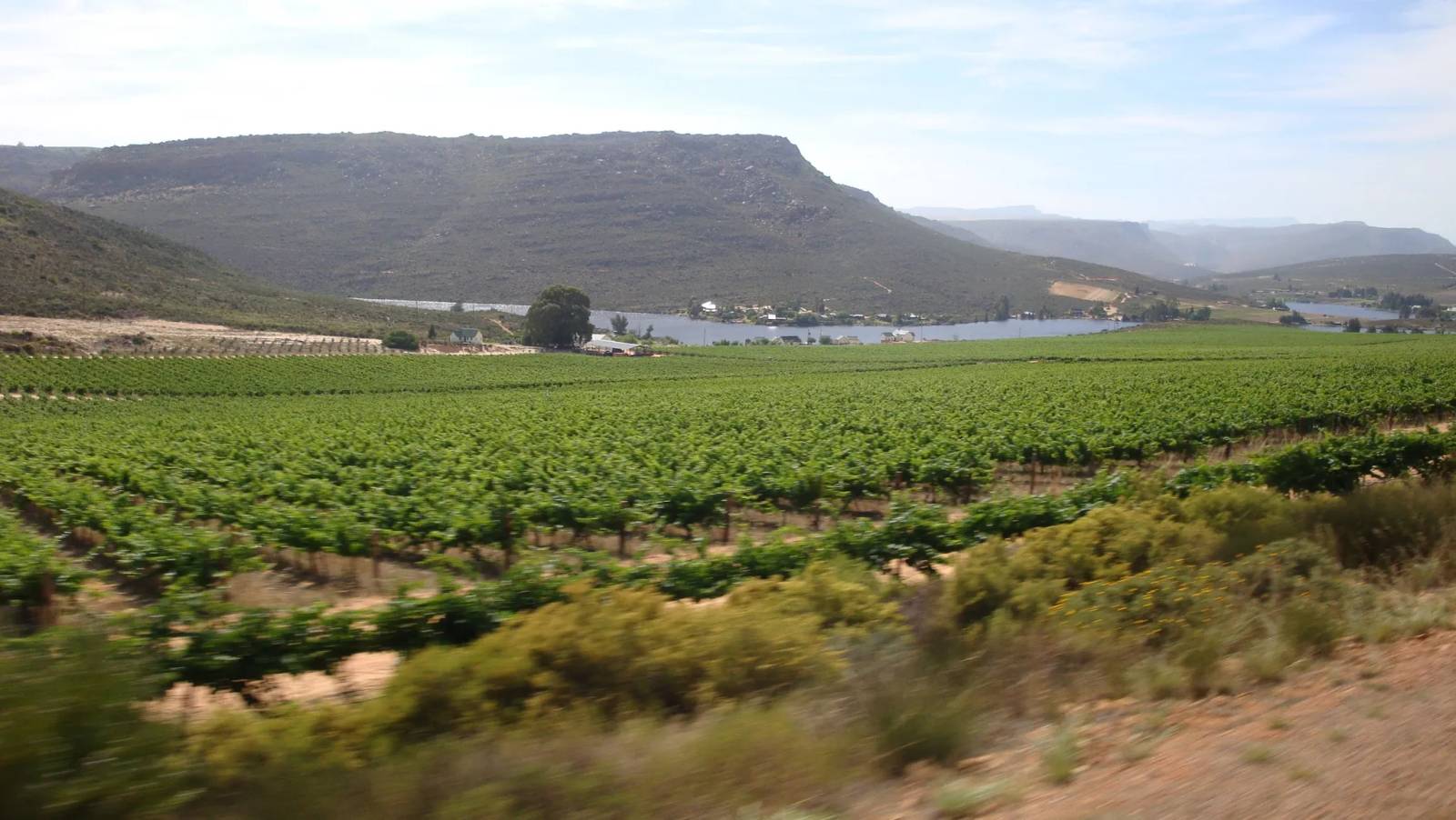 Vredendal