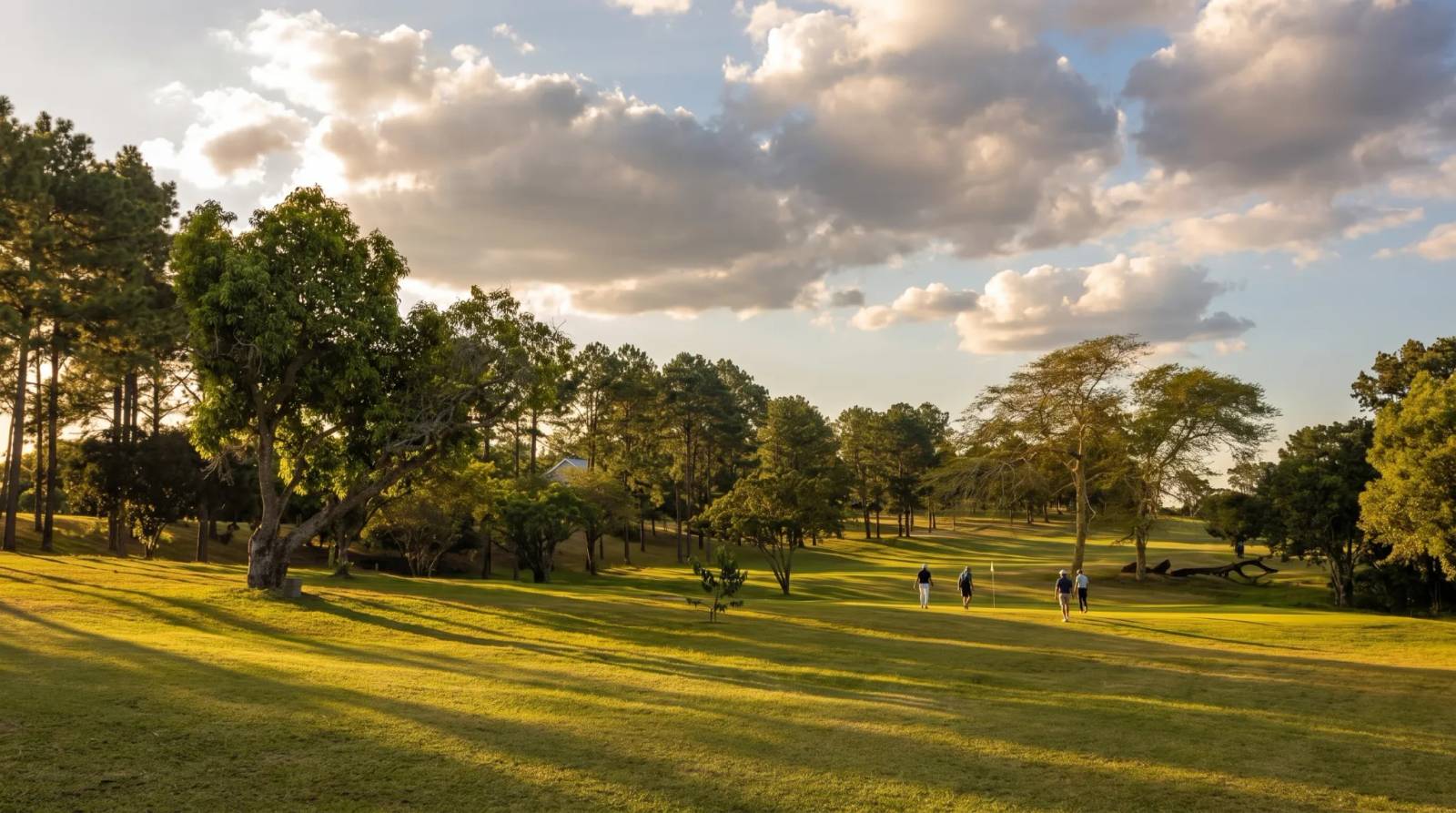 Golfers walk across a sunny green course lined with trees under a cloudy sky in Darnall.